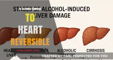 Can Heart Damage from Alcohol Be Reversed? Expert Insights
