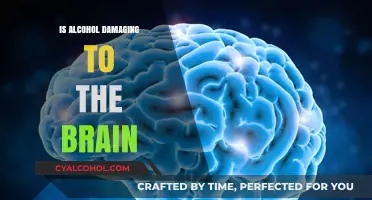 Alcohol's Impact on Brain Health: Uncovering the Hidden Dangers
