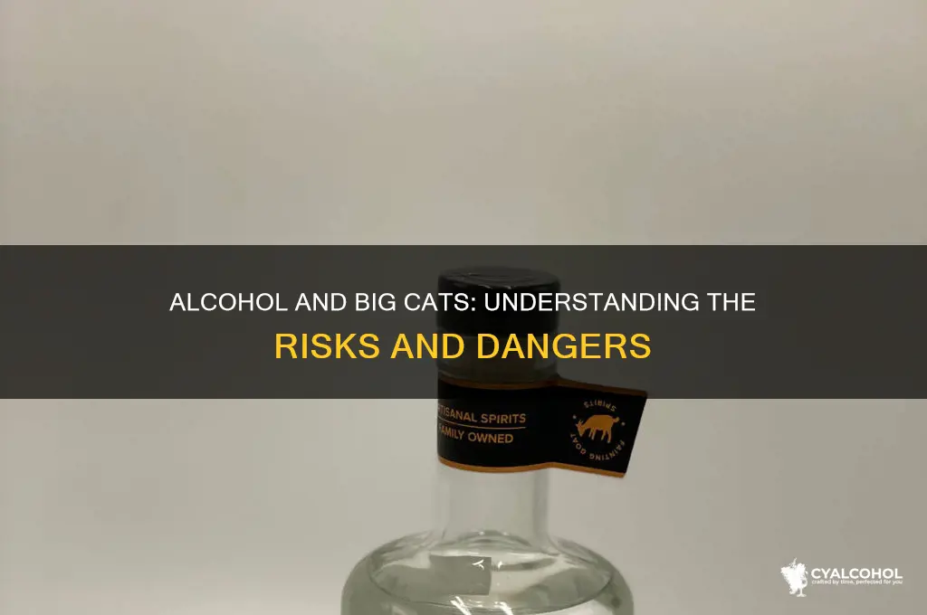 is alcohol dangerous for big cats