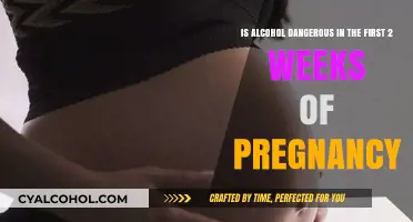 Alcohol in Early Pregnancy: Is It Safe?
