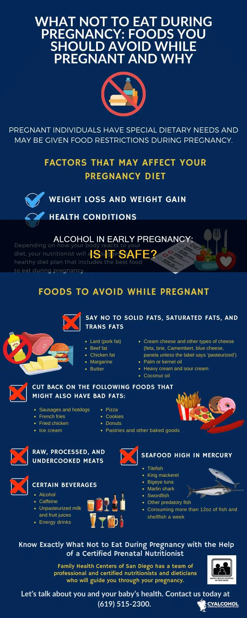is alcohol dangerous in the first 2 weeks of pregnancy