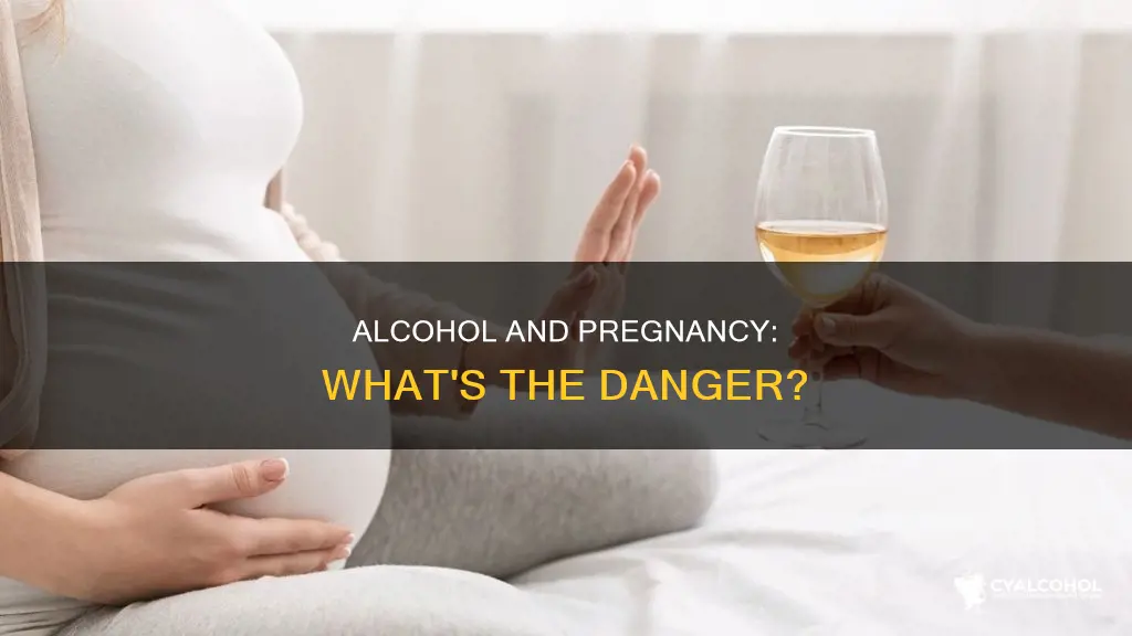 is alcohol dangerous in the first weeks of pregnancy