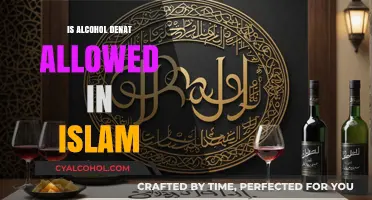 Is Alcohol Denat Halal? Islamic Perspective on Denatured Alcohol