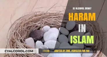 Is Alcohol Denat Haram? Islamic Perspective on Denatured Alcohol