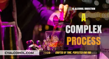 Unraveling the Complexity of Alcohol Digestion: A Detailed Exploration