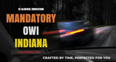 Is Alcohol Education Required for OWI Offenders in Indiana?