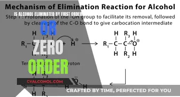 How Is Alcohol Eliminated by the Body?