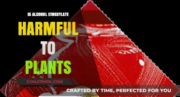 Alcohol Ethoxylate's Impact: Is It Harmful to Plants?