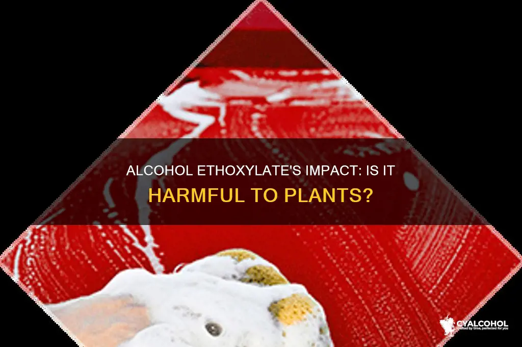 is alcohol ethoxylate harmful to plants