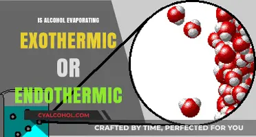 Alcohol Evaporation: Unveiling Its Exothermic or Endothermic Nature