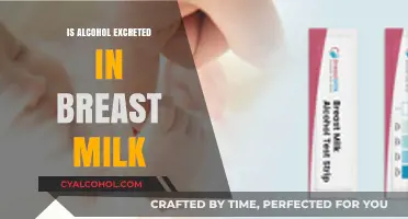 Alcohol in Breast Milk: What Nursing Moms Need to Know