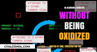 Alcohol Metabolism: Does It Bypass Oxidation During Excretion?