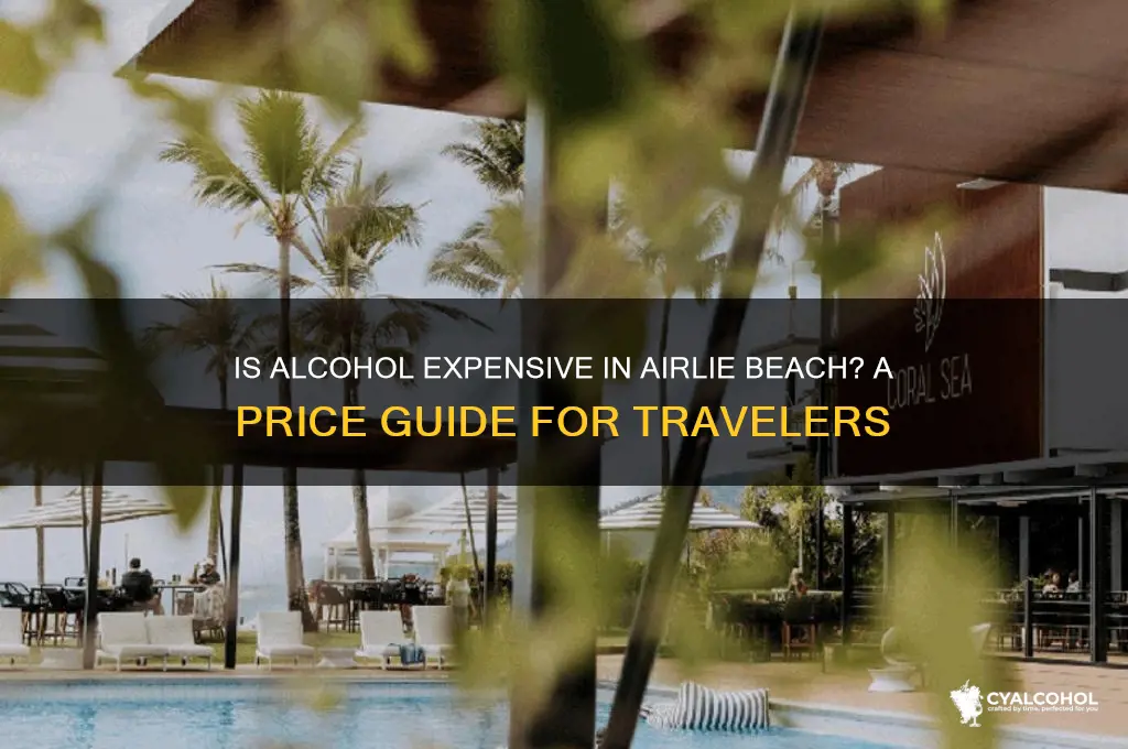 is alcohol expensive in airlie beach