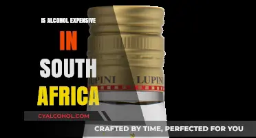 Is Alcohol Expensive in South Africa? Exploring Costs and Trends