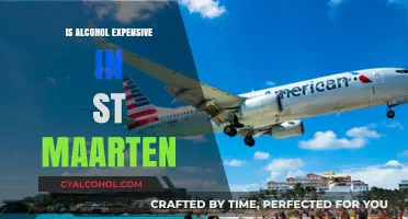 Is Alcohol Expensive in St. Maarten? A Price Guide for Travelers