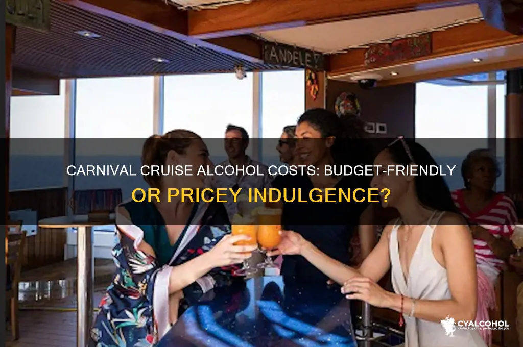 is alcohol expensive on carnival cruises