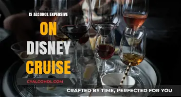Disney Cruise Alcohol Costs: Are Drinks Expensive Onboard?