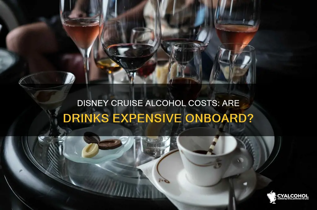is alcohol expensive on disney cruise