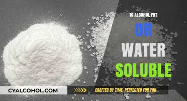 Is Alcohol Fat or Water Soluble? Understanding Its Chemical Nature