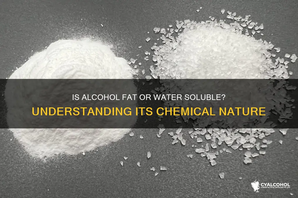 is alcohol fat or water soluble