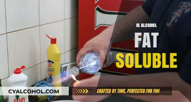 Is Alcohol Fat Soluble? Understanding Its Solubility and Body Impact