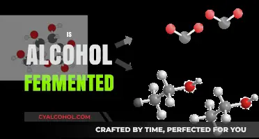 Is Alcohol Fermented? Unveiling the Science Behind Your Favorite Drinks