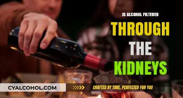 How Alcohol Affects Kidney Function: Filtration and Detoxification Explained