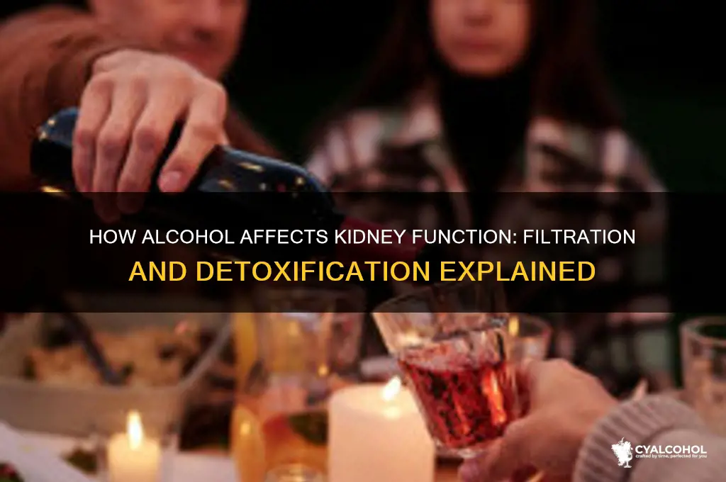 is alcohol filtered through the kidneys