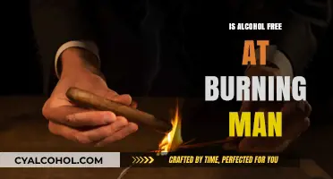 Is Burning Man Alcohol-Free? Debunking Myths About the Playa's Rules