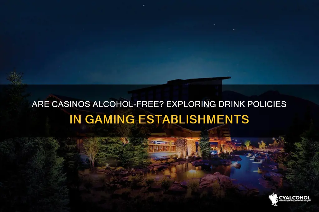 is alcohol free at casinos
