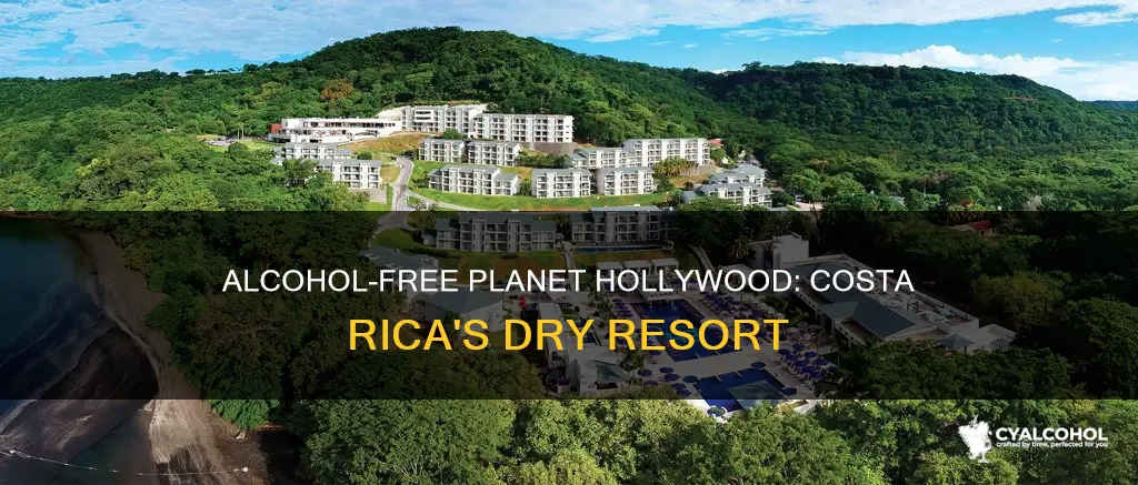 is alcohol free at planet hollywood beach resort costa rica