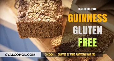 Is Alcohol-Free Guinness Gluten-Free? Exploring the Facts and Ingredients