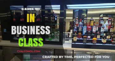 Alcohol-Free Business Class: What to Expect on Your Next Flight