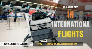 Are International Flights Alcohol-Free? Exploring In-Flight Beverage Policies