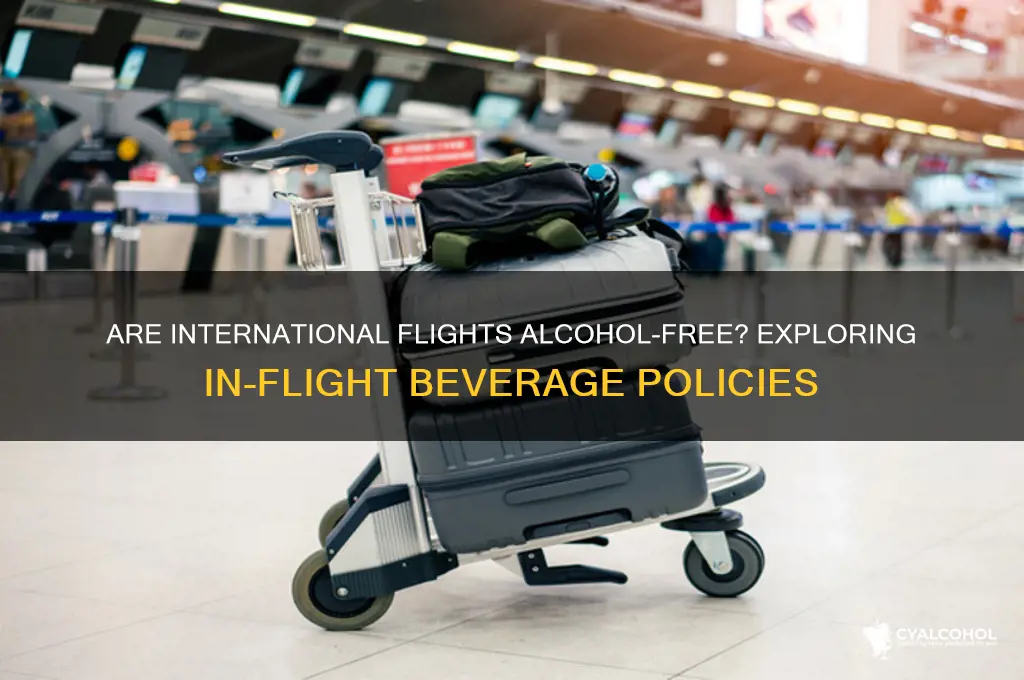 is alcohol free in international flights