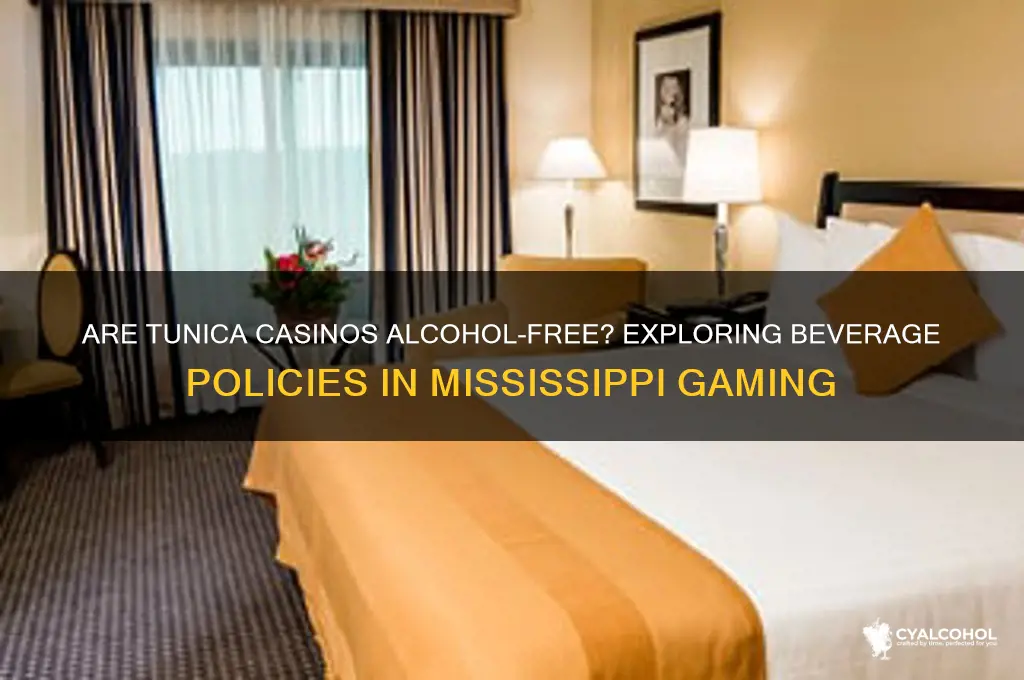 is alcohol free in tunica casinos