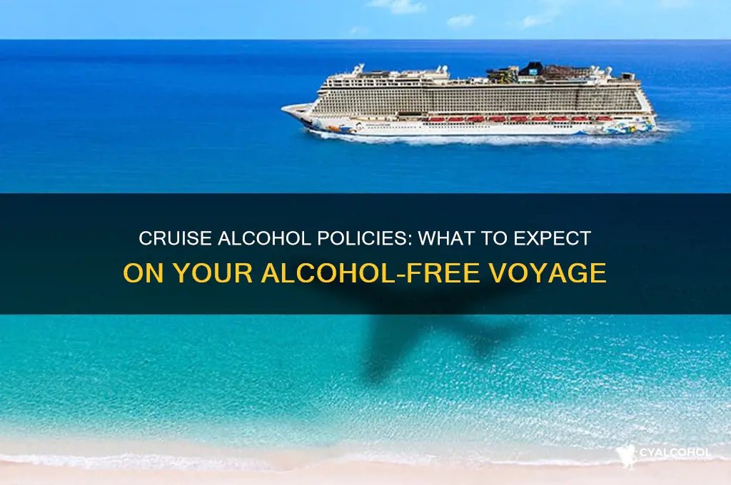 is alcohol free on a cruise