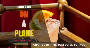 Can You Bring Alcohol-Free Drinks on a Plane? Travel Tips