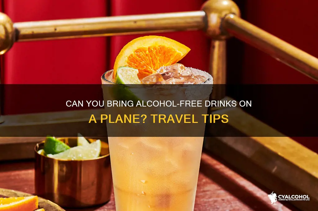 is alcohol free on a plane