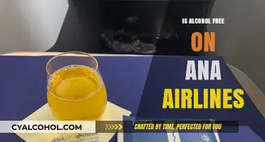 Is Alcohol Free on ANA Airlines? Exploring In-Flight Beverage Options