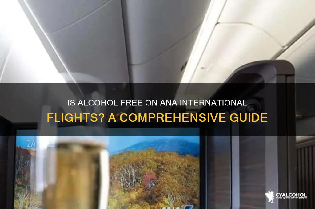 is alcohol free on ana international