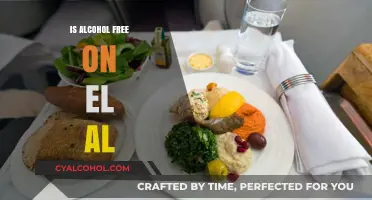 Is El Al Alcohol-Free? Exploring In-Flight Beverage Policies and Options