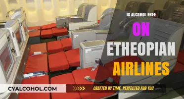 Is Ethiopian Airlines Alcohol-Free? Exploring In-Flight Beverage Policies