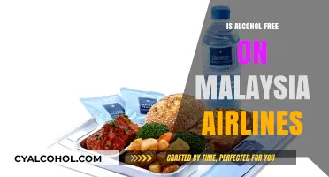 Is Malaysia Airlines Alcohol-Free? Exploring In-Flight Beverage Policies