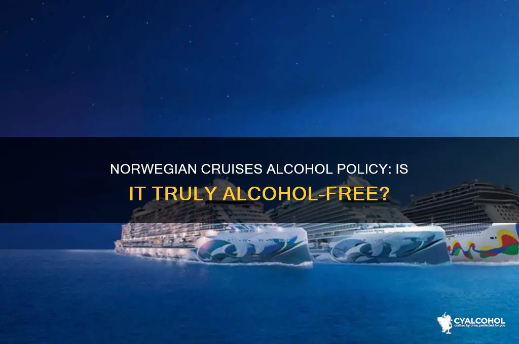 is alcohol free on norwegian cruises