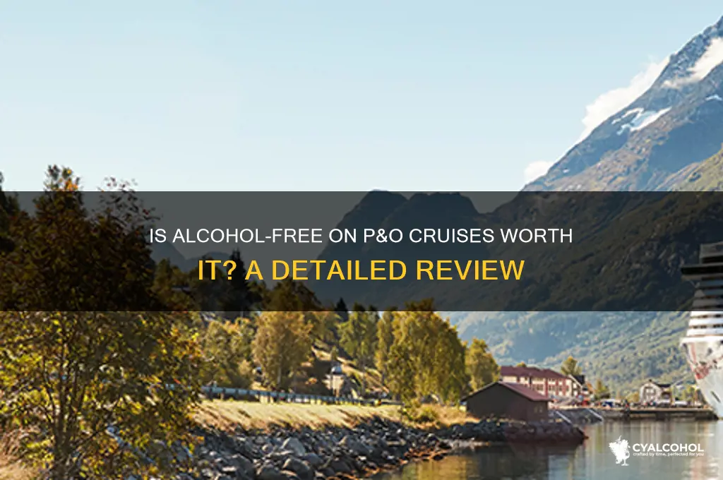 is alcohol free on p&amp