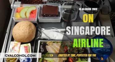Is Alcohol Free on Singapore Airlines? Exploring In-Flight Beverage Options