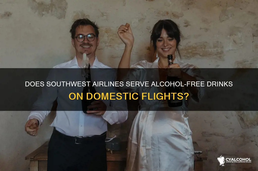 is alcohol free on southwest flights