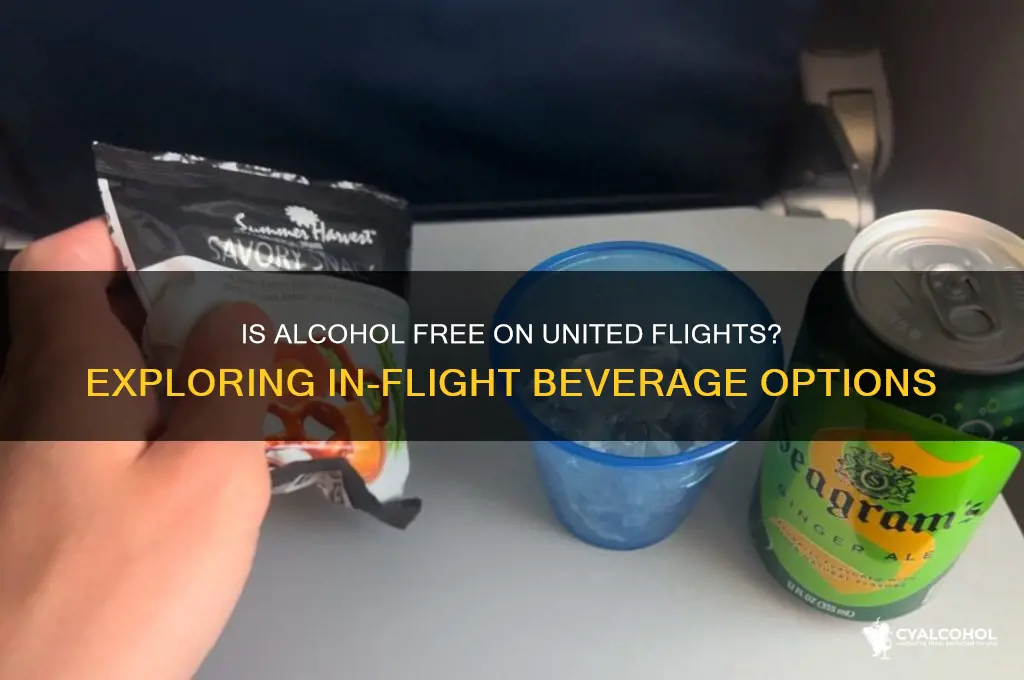 is alcohol free on united flights