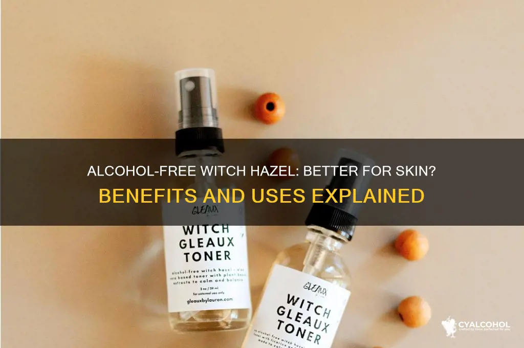 is alcohol free witch hazel better
